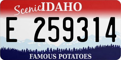 ID license plate E259314