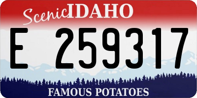 ID license plate E259317