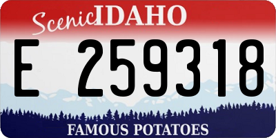 ID license plate E259318