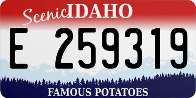 ID license plate E259319