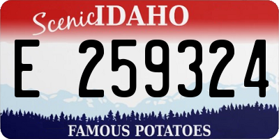 ID license plate E259324