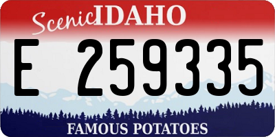 ID license plate E259335