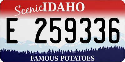 ID license plate E259336