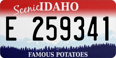 ID license plate E259341