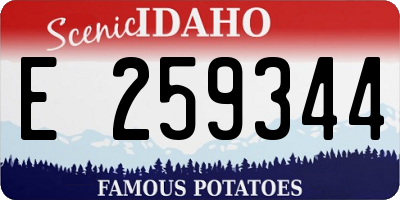ID license plate E259344