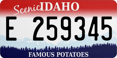 ID license plate E259345