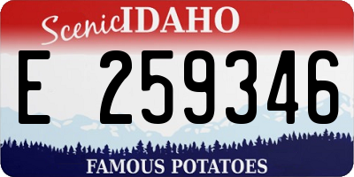 ID license plate E259346