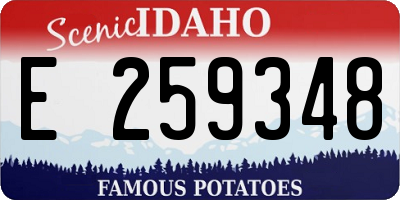 ID license plate E259348