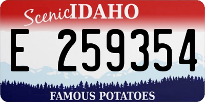 ID license plate E259354