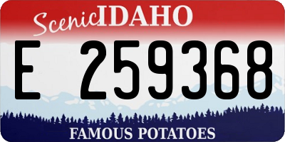 ID license plate E259368