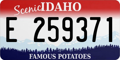ID license plate E259371