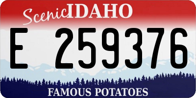 ID license plate E259376