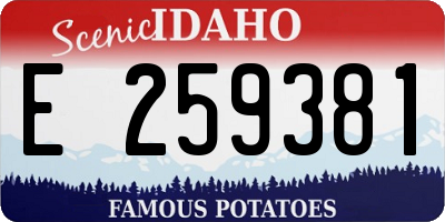 ID license plate E259381