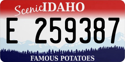ID license plate E259387