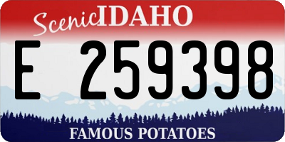 ID license plate E259398