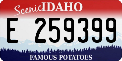 ID license plate E259399