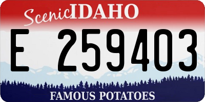 ID license plate E259403
