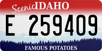 ID license plate E259409