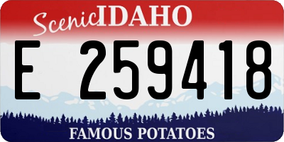ID license plate E259418