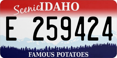 ID license plate E259424
