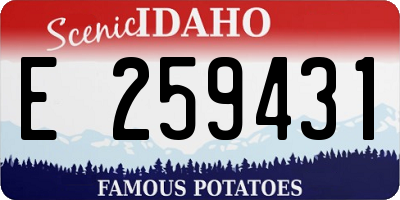ID license plate E259431