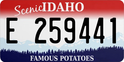 ID license plate E259441
