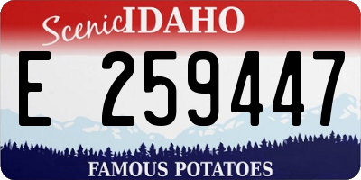 ID license plate E259447