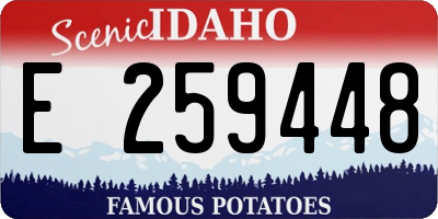 ID license plate E259448