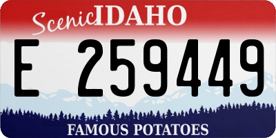 ID license plate E259449