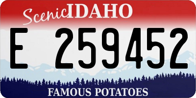 ID license plate E259452