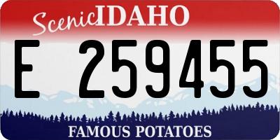 ID license plate E259455