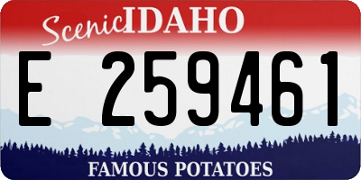 ID license plate E259461