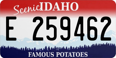 ID license plate E259462