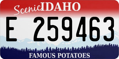 ID license plate E259463