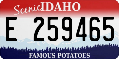 ID license plate E259465