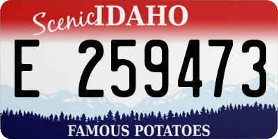 ID license plate E259473