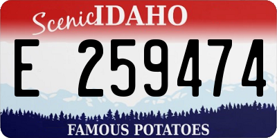 ID license plate E259474