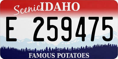 ID license plate E259475