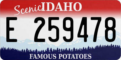 ID license plate E259478