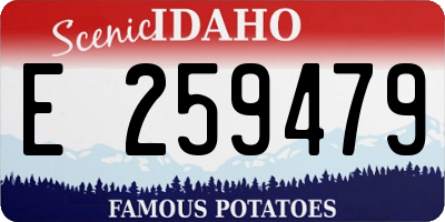 ID license plate E259479