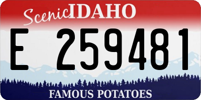 ID license plate E259481