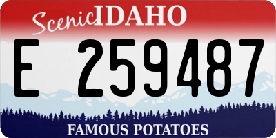 ID license plate E259487
