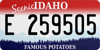 ID license plate E259505