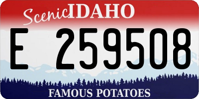 ID license plate E259508