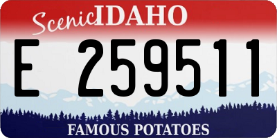 ID license plate E259511