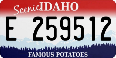 ID license plate E259512