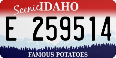 ID license plate E259514
