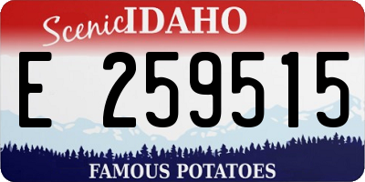 ID license plate E259515