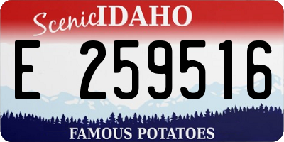 ID license plate E259516