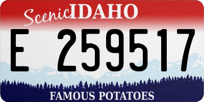 ID license plate E259517